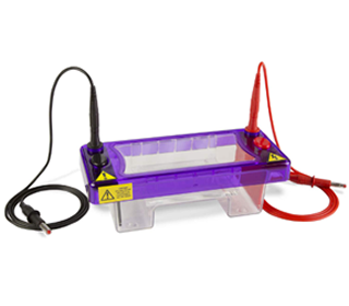 Camaras de electroforesis
